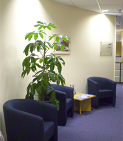 Woodlands Waiting area with tub seating and coffee tables